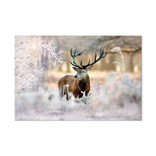 Quadro - Deer in the Cold
