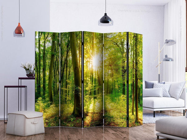 Paravento - Forest Rays II
