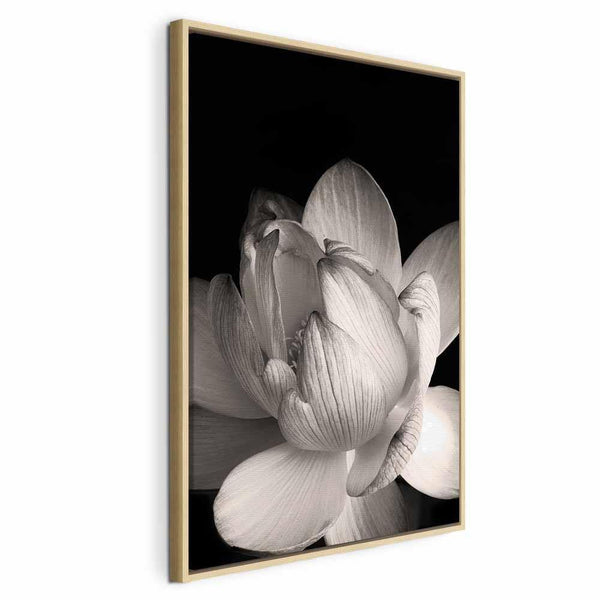 Quadro - Delicacy of Petals in Nature (1-part) - Flower in Black and White