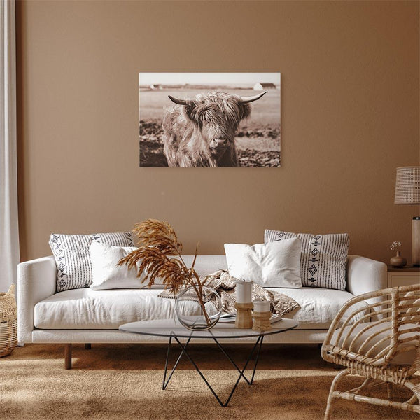 Quadro - A Scottish Cow in Sepia