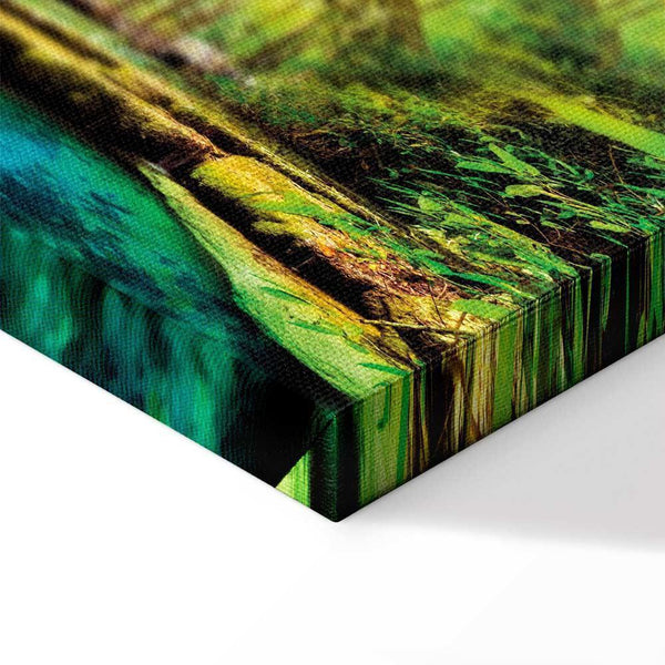 Quadro - A Jewel of Nature