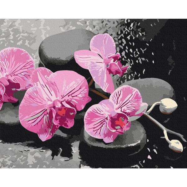 Quadro fai da te - Orchid With Zen Stones (Black Background)