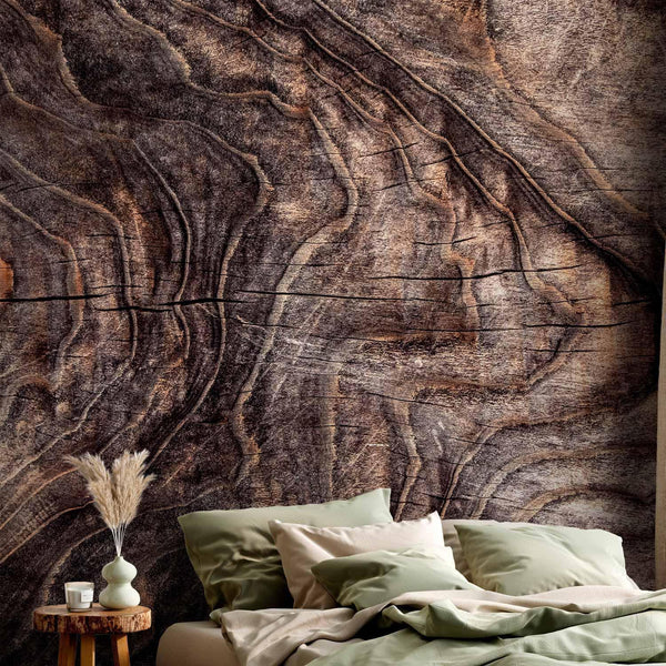 Carta da parati - Signs of the times - an abstract background with the wrinkled bark of an old tree