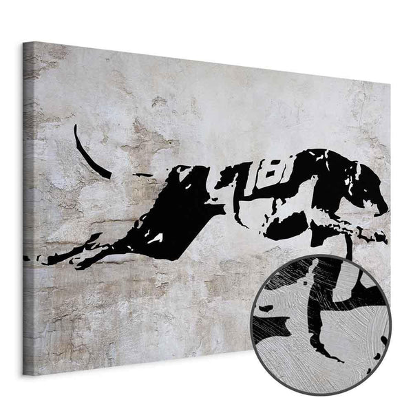 Quadro - Greyhound Race (1 Part) Wide