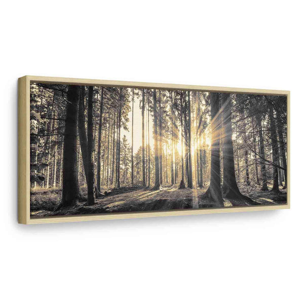 Quadro - Forest Sun