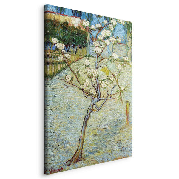 Quadro - Vincent van Gogh – Blossoming Pear Tree