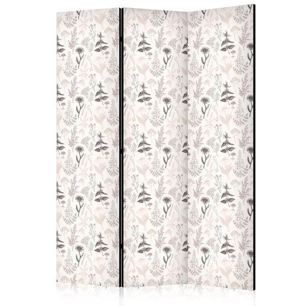 Paravento - Botanical Illustration - Drawing of Flowers and Herbs - Beige Grays