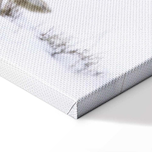 Quadro - Hare (1 Part) Wide