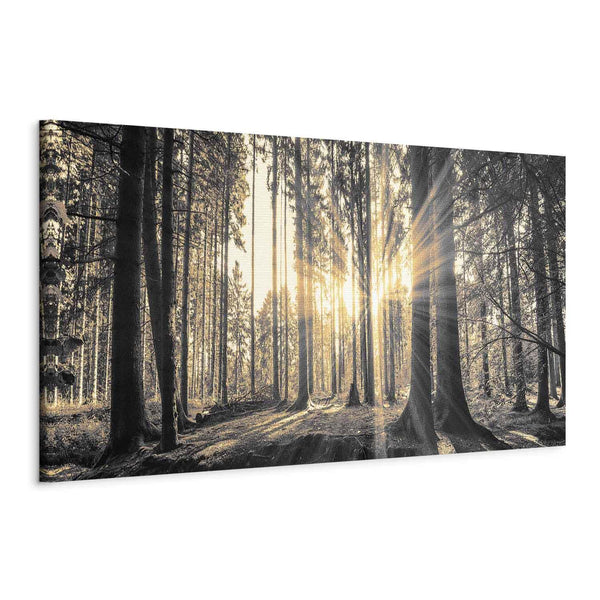 Quadro - Forest Sun