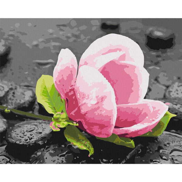Quadro fai da te - Pink Flower and Stones