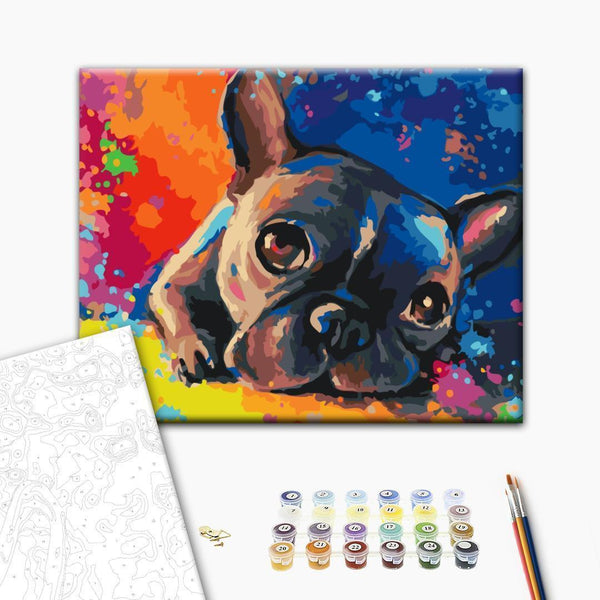 Quadro fai da te - Colourful French bulldog