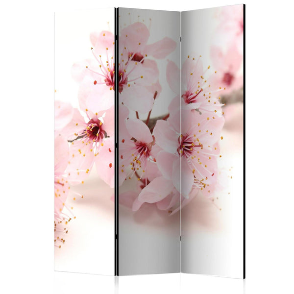 Paravento - Cherry Blossom