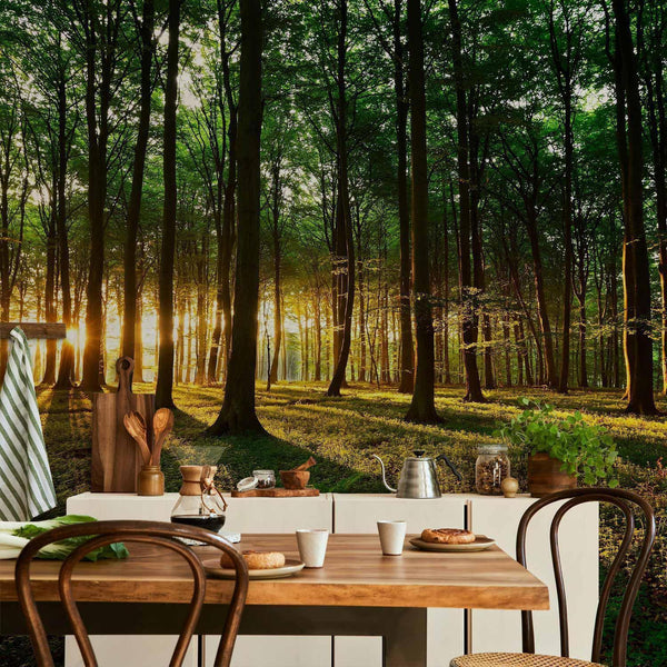 Carta da parati - Mystical Morning