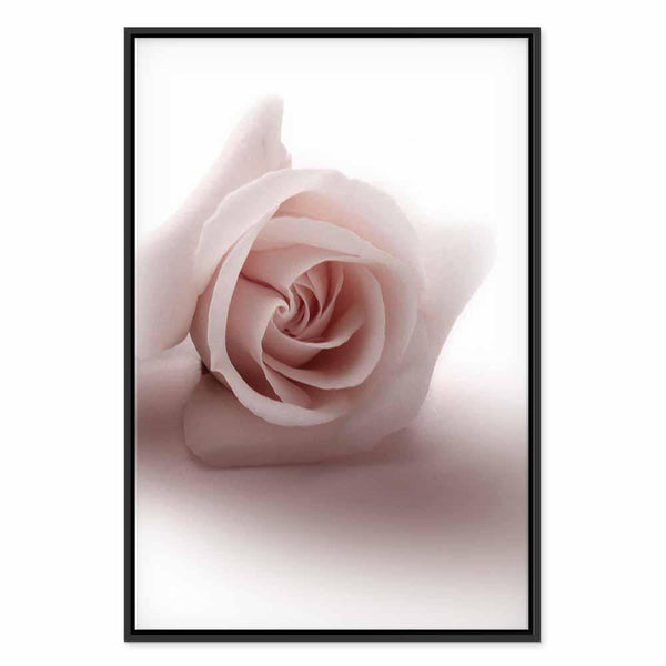 Quadro - Floral Glamour Glow (1-part) - Delicate and Pastel Pink Rose