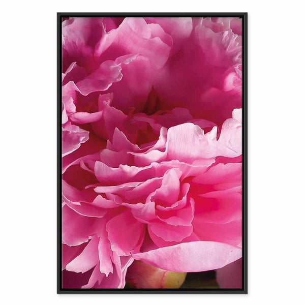Quadro - Blossom of Beauty (1-part) - Pink Peony Flower Embraced by Nature