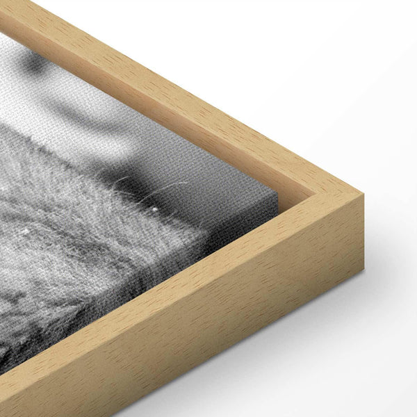 Quadro - Lion's Love