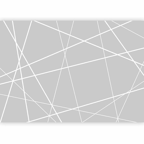 Carta da parati - Modern Cobweb