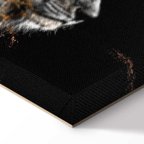 Quadro - King of the Sun (1 Part) Wide