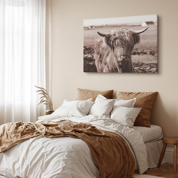 Quadro - A Scottish Cow in Sepia