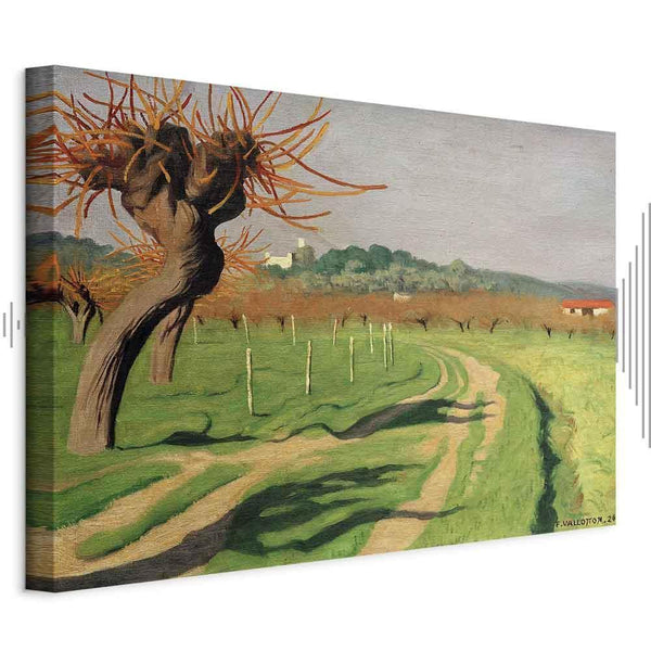 Quadro - Félix Vallotton – Vallée de la Cagne