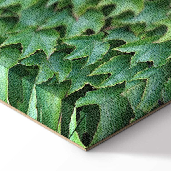 Quadro - Thick Ivy (1 Part) Vertical