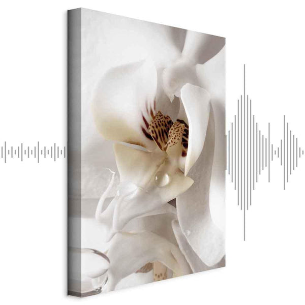Quadro - Drop Of Dreams (1 Part) Vertical
