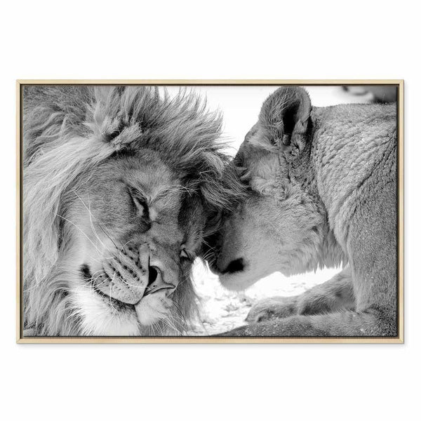 Quadro - Lion's Love