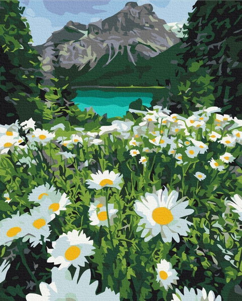 Quadro fai da te - Chamomiles in a mountain valley