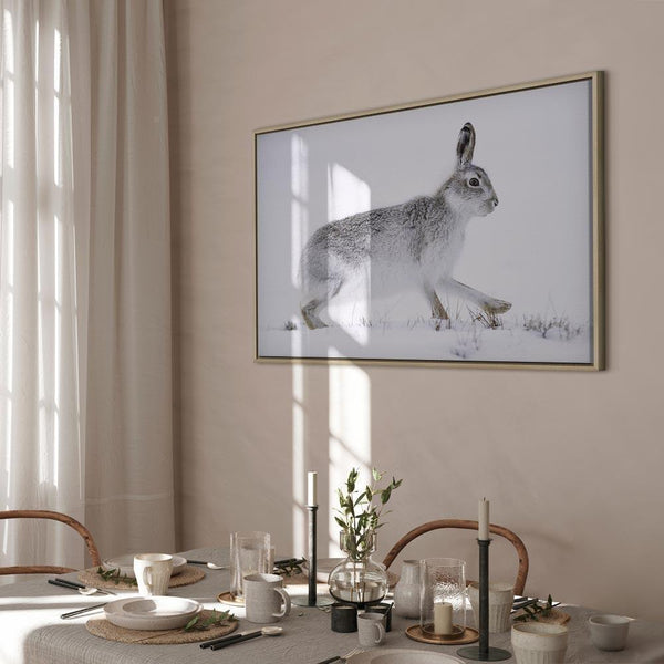Quadro - Hare (1 Part) Wide