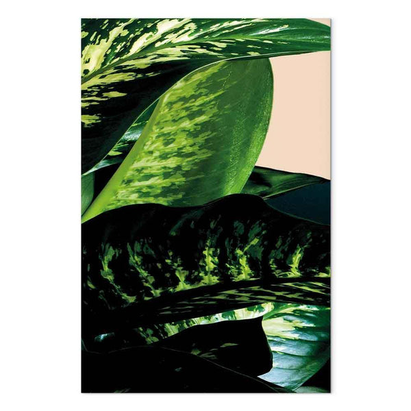 Quadro - Dieffenbachia (1 Part) Vertical