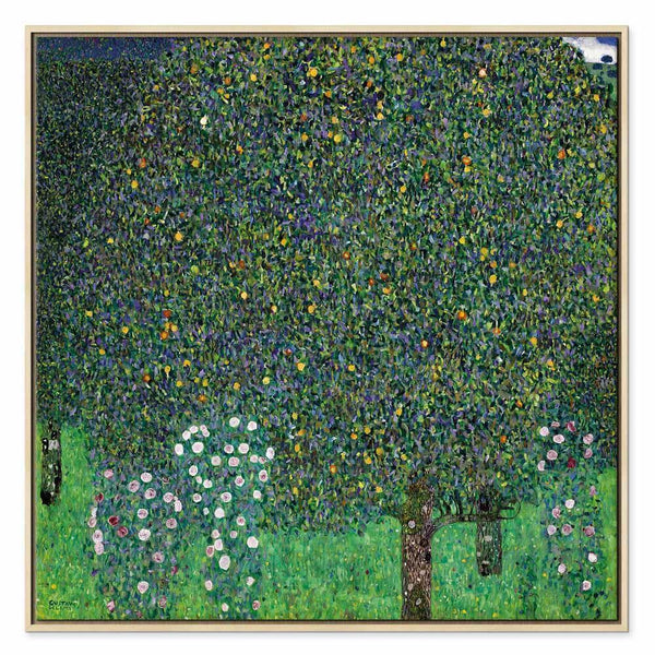 Quadro - Gustav Klimt – Roses Among the Trees