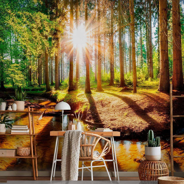 Carta da parati - Marvelous Forest