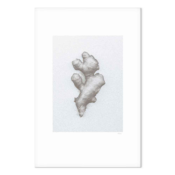 Quadro - Ginger (1 Part) Vertical