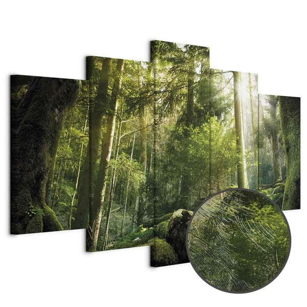 Quadro - The Beauty of the Forest