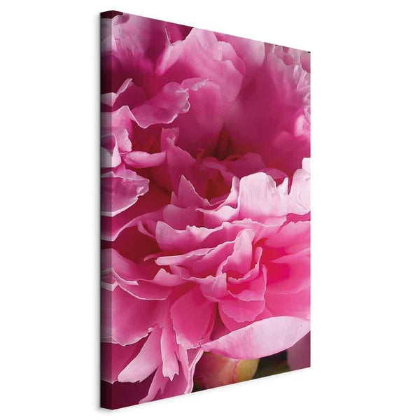 Quadro - Blossom of Beauty (1-part) - Pink Peony Flower Embraced by Nature