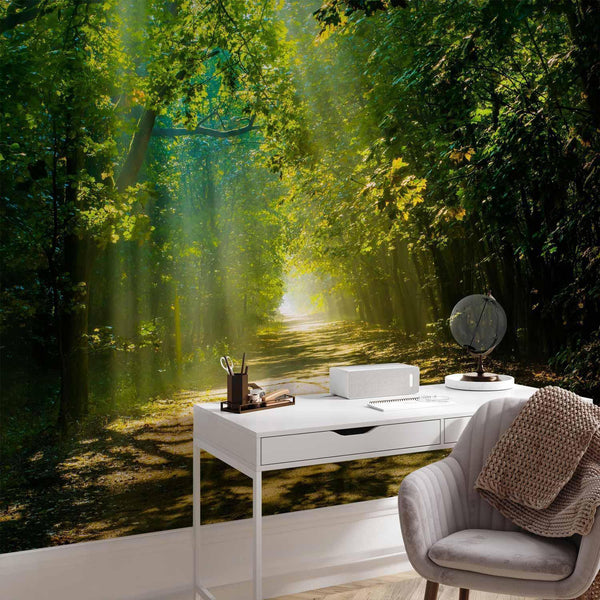 Carta da parati - Road in Sunlight