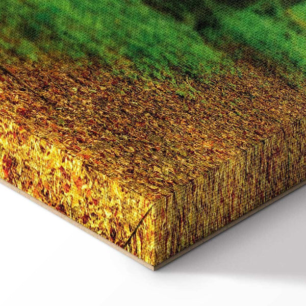 Quadro - Magic Forest