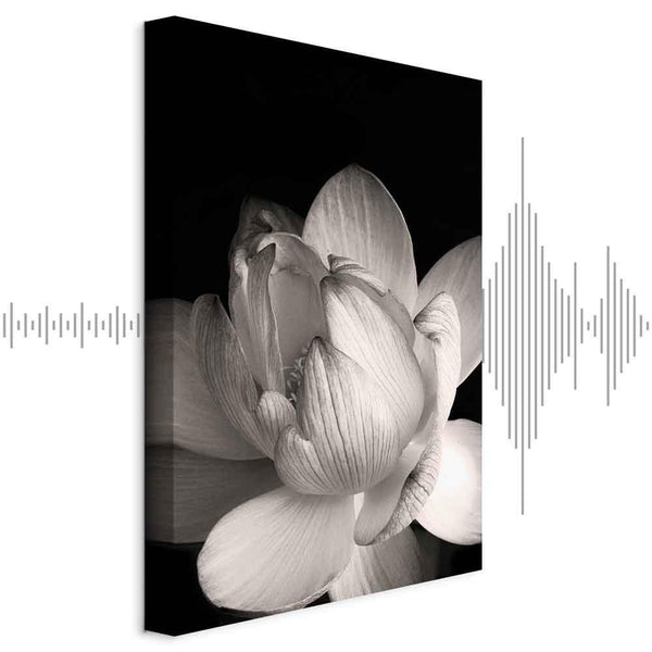 Quadro - Delicacy of Petals in Nature (1-part) - Flower in Black and White
