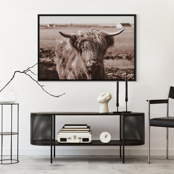 Quadro - A Scottish Cow in Sepia