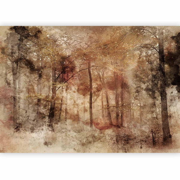 Carta da parati - Lost in the woods