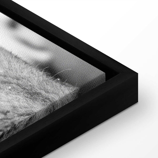 Quadro - Lion's Love