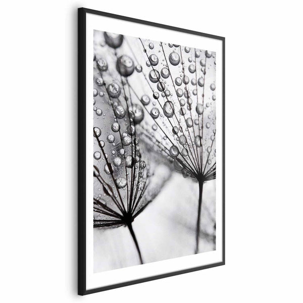 Poster - Macro Dew