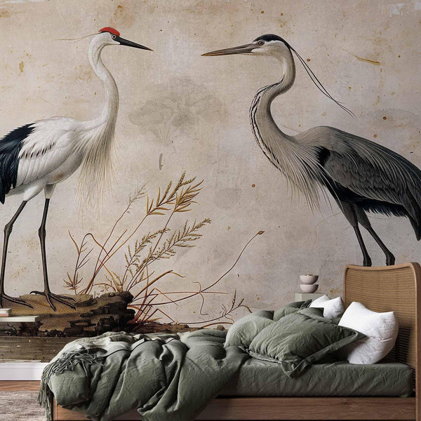 Carta da parati - Birds from an old engraving - vintage-style illustration depicting a heron and a crane