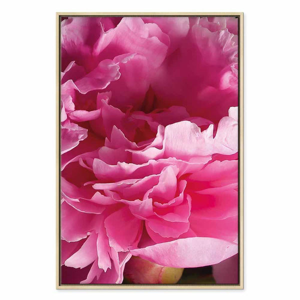 Quadro - Blossom of Beauty (1-part) - Pink Peony Flower Embraced by Nature