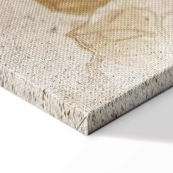 Quadro - Passing Moments (1 Part) Wide