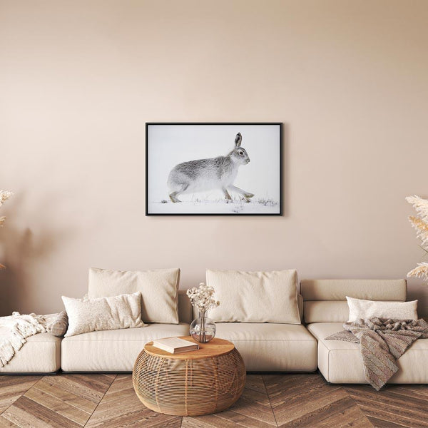 Quadro - Hare (1 Part) Wide