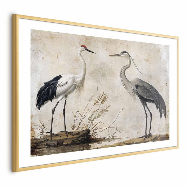 Poster - Birds from an Old Engraving - vintage-style illustration of a heron and a crane