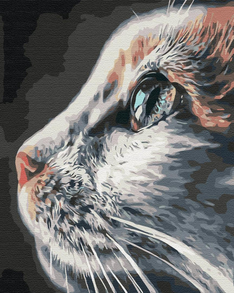 Quadro fai da te - Feline majesty