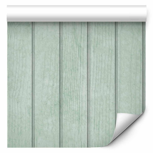 Tappezzeria murale - Delicate Wood - Vertical stripes in a pastel green shade