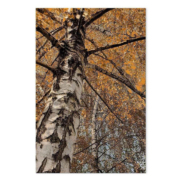 Quadro - Autumn Colours (1 Part) Vertical